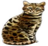watercolor of a Bengal cat