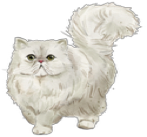 watercolor of a white persian cat