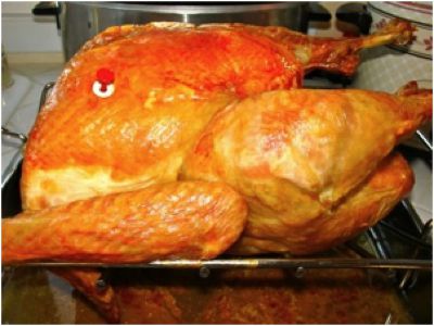 a roasted turkey with the timer extended